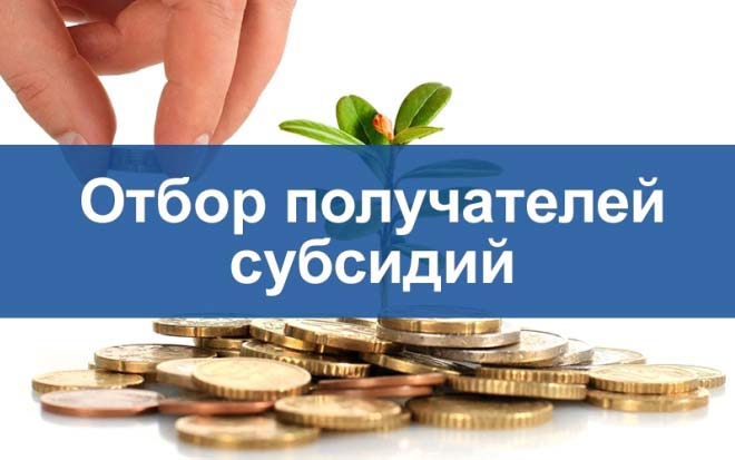 Объявление об отборе: Предоставление субсидий некоммерческим организациям (за исключением государственных (муниципальных) учреждений).