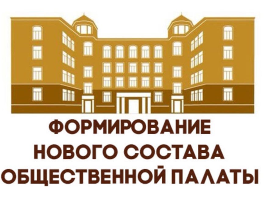О формировании нового состава Общественной палаты Боровичского муниципального округа.