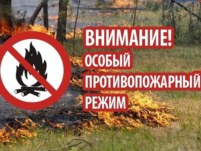 В Новгородской области введен особый противопожарный режим.